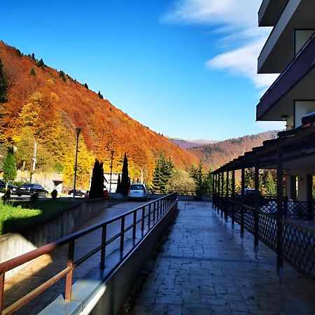 Serenity Suite Sinaia Bagian luar foto